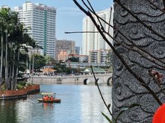 -荔湾湖公园