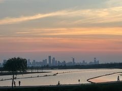 -合肥滨湖国家森林公园