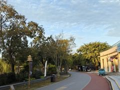 -上海长兴岛郊野公园