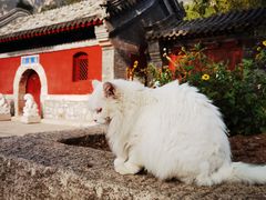 -北京凤凰岭