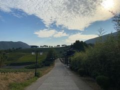 -帐篷客·溪龙茶谷度假酒店