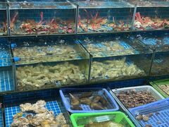 -西涌国际滨海旅游区