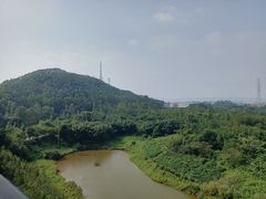 -美的鹭湖探索王国