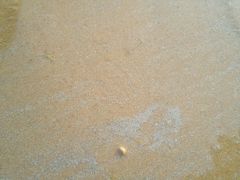 android_upload_pic-青岛银沙滩