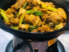 支竹焖羊肉-联邦酒楼