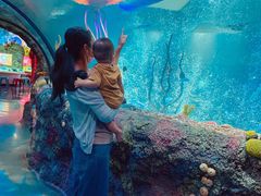 -沈阳海洋探索中心