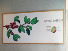 -瑞幸咖啡(南海万科广场店)