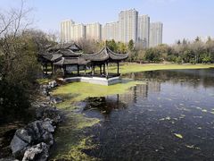 -高子水居