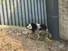 -黔灵山公园