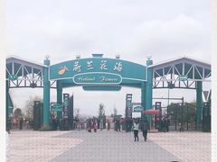 -荷兰花海