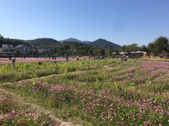 -红山村