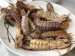 清蒸皮皮虾-北戴河庆山饭店·海鲜砂锅粥(北戴河黑石路店)