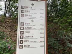 -金鸡山公园