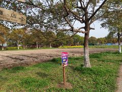 -上海都市菜园