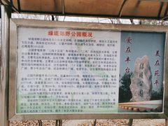 -绿堤公园