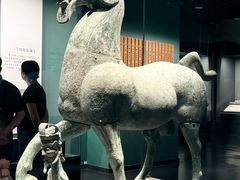 -广西壮族自治区博物馆