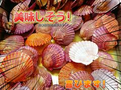 -蚝英雄·鲜蚝自助专门店(洋桥店)