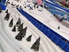 -湘江欢乐城欢乐雪域