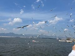 -海埂大坝