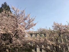 -武汉大学-樱园