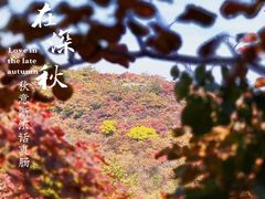 -周口店坡峰岭风景区