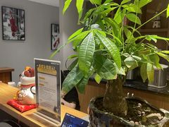 -梵猫·新养生(南坪万达店)