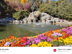 -香山公园