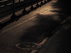 -晓港公园