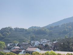 -龙井村