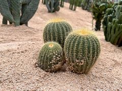-广东茂名森林公园