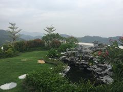 楼顶花园-珠海尊车汇龙膜精英店