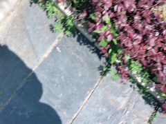 -梅岭月亮湾山体公园