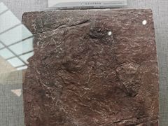 -延庆地质公园博物馆