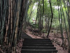 -凤栖山