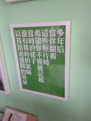-艾米丽儿童摄影