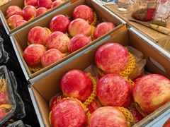 -东方鼎信农副产品交易中心