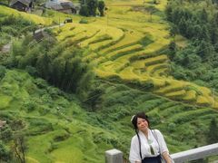 -紫鹊界梯田景区