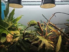 -上海大自然野生昆虫馆(东方明珠·爬宠昆虫探索中心)