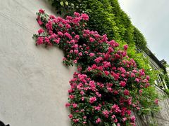 -老门东历史文化街区