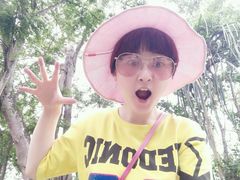 -瑞丽独树成林风景区