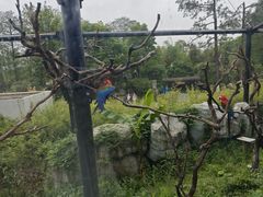 -武汉动物园