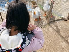 -前小桔亲子创意农场·草莓采摘·露营烧烤