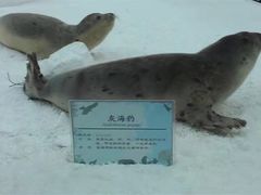-中国湿地博物馆