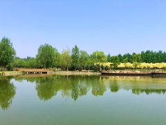 -东郊湿地公园