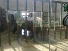 -石家庄市动物园