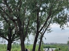 -绿堤公园