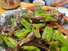 -十二毡房蒙餐·蒙古包