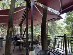 -巴倒烫陆派火锅山庄(南山总店)