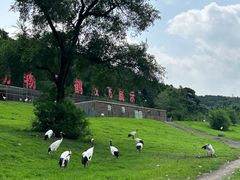 -沈阳森林动物园