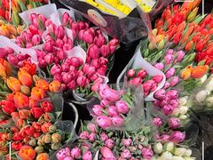 -循礼门鲜花花市(武汉循礼门店)